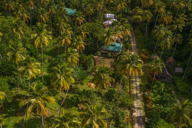 Historical 18th Century Estate Tour with Coconut Tasting - The sugar mill adds a little island theater