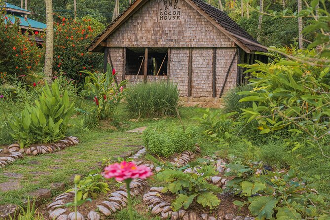 Historical 18th Century Estate Tour with Coconut Tasting - The viewpoint gives the walk a strong finish