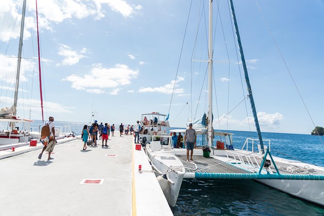 Hop & Drop Soufriere Transfer - The return sail and Marigot Bay