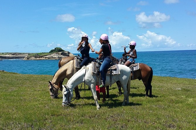 Horseback Riding Adventure Tour in St. Lucia - Key points to know before you book