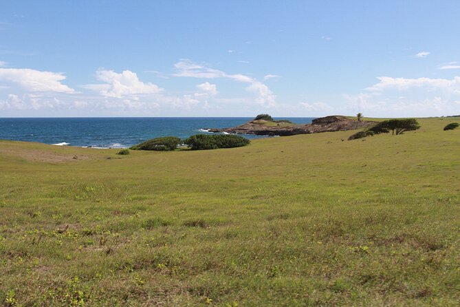 Horseback Riding Adventure Tour in St. Lucia - Riding on the beach and swimming with your horse