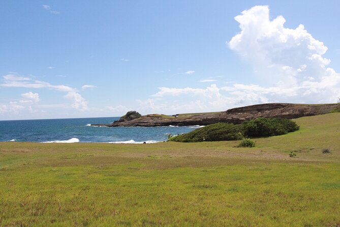 Horseback Riding Adventure Tour in St. Lucia - Pickup, private groups, and advance planning
