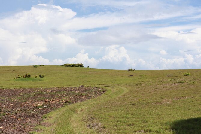 Horseback Riding Adventure Tour in St. Lucia - Who will enjoy this ride most
