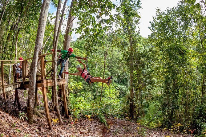 Jeep & Zip Safari St. Lucia From Castries - The Walk to Errand Falls