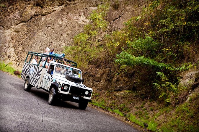 Jeep & Zip Safari St. Lucia From Castries - How Much Value Do You Get for $157.90?