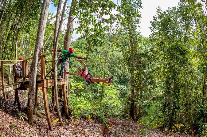 Jeep & Zip Safari St. Lucia From Castries - Practical Tips for a Smoother Morning