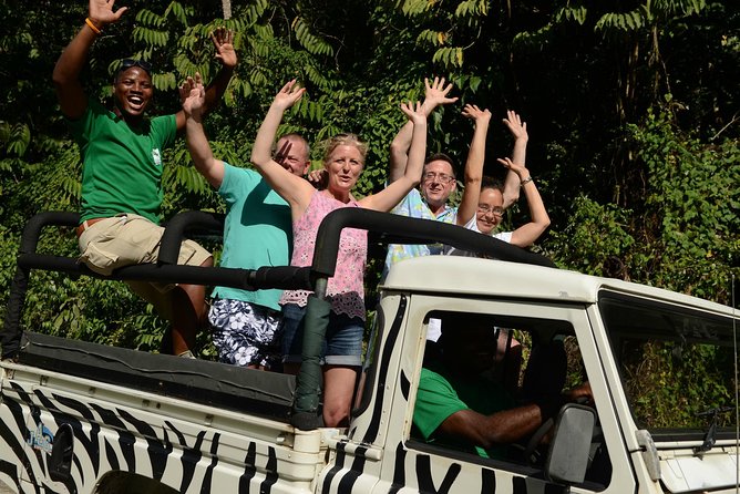 Jeep & Zip Safari St. Lucia From Castries - One Hour Among the Trees at Treetop Adventure Park