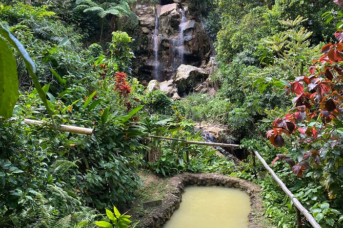 LUNCH INCLUSIVE Mud Baths, Waterfall & Tet Paul Nature Trail - Piton Falls and warm mineral water