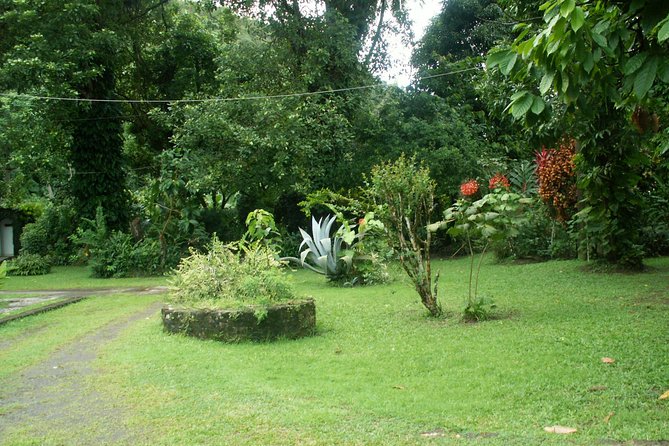 Magical Soufriere: A Tour of St Lucia - Morne Coubaril, plantation life in a short visit