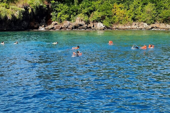 Mud bath and Waterfall with Snorkeling at Sugar beach - Sugar Beach and snorkeling between the Pitons