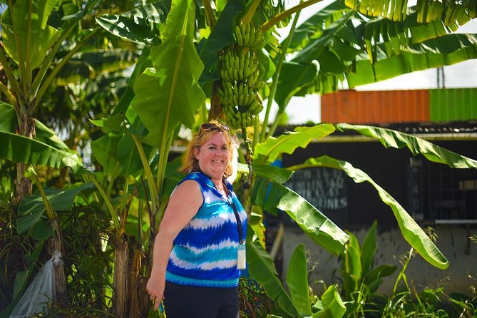 Mudbaths, Waterfall & Botanical Gardens Tour - All Inclusive - Toraille Waterfall: the island’s natural shower