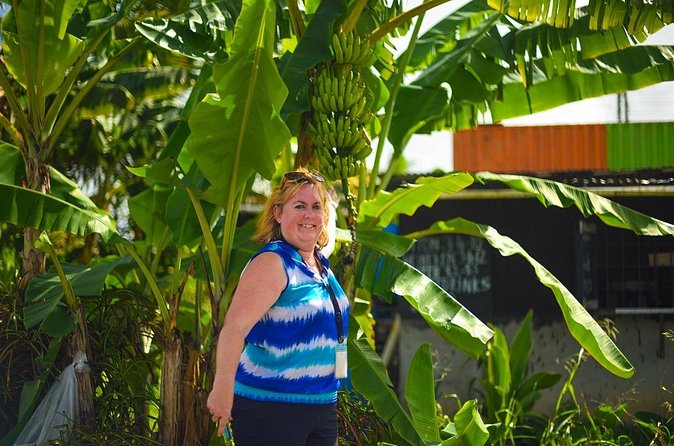 Mudbaths, Waterfall & Botanical Gardens Tour - All Inclusive - Timing, pickup, and what to pack