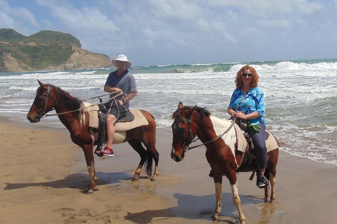 Nature & Historical Horseback Riding Tours St. Lucia - Old sugar works and the story beneath the trees