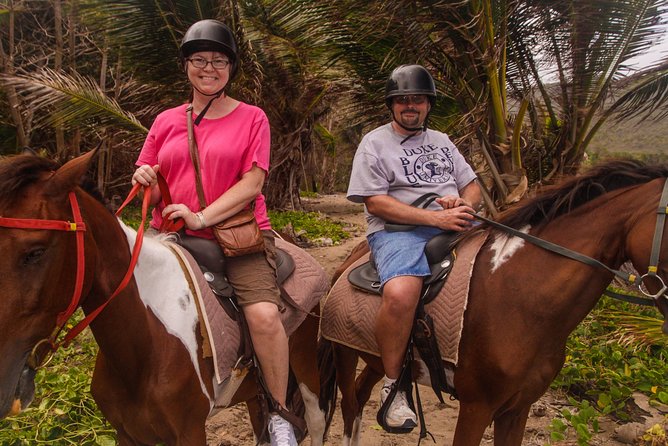 Nature & Historical Horseback Riding Tours St. Lucia - Riding ability, horses, and the lead rope