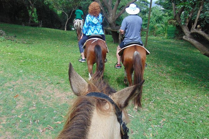 Nature & Historical Horseback Riding Tours St. Lucia - How much value do you get for $120?