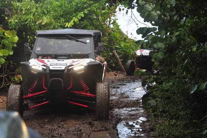 Northern Sights - Buggy in the North - Key points to know before you book