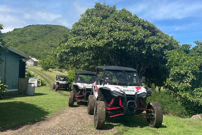Northern Sights - Buggy in the North - Point Hardy and Monte Citron: the best view-focused part
