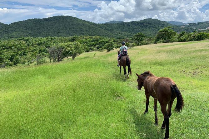 Private Advanced Horseback Beach Ride with Sandy Hoofs St. Lucia - Key points to know before booking