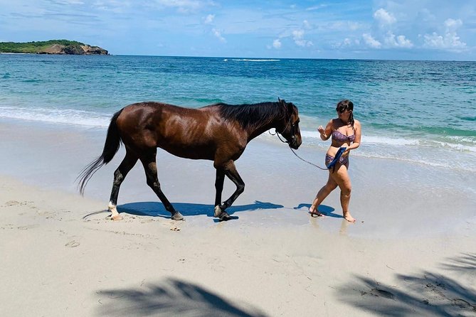 Private Advanced Horseback Beach Ride with Sandy Hoofs St. Lucia - Why this ride feels different from a standard beach outing