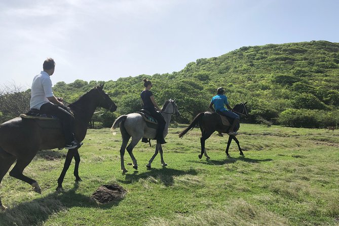 Private Advanced Horseback Beach Ride with Sandy Hoofs St. Lucia - From the stable to St. Lucia’s Atlantic coast