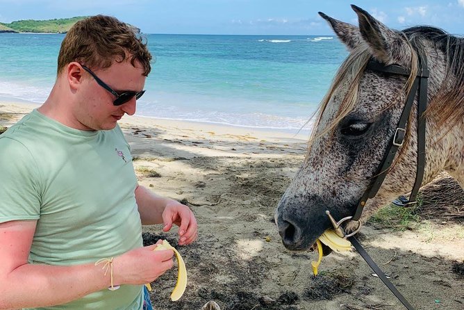 Private Advanced Horseback Beach Ride with Sandy Hoofs St. Lucia - How much value do you get for $119?