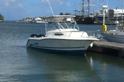 Private All Inclusive Speedboat to Soufriere with Lunch, Mud Bath & Waterfall