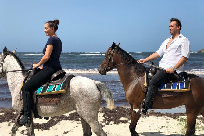 Private Beach Horseback Ride with Sandy Hoofs St. Lucia - Key points to know before you book