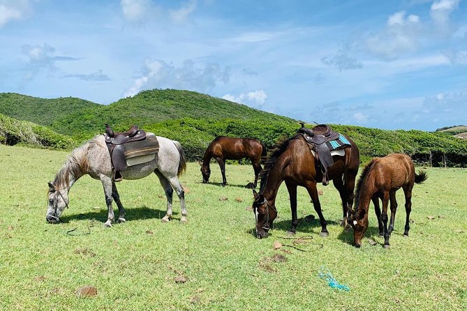 Private Beach Horseback Ride with Sandy Hoofs St. Lucia - What to wear and bring for a comfortable ride