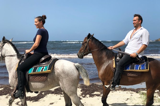 Private Beach Picnic Horseback Ride with Sandy Hoofs St. Lucia - A private St. Lucia ride made for couples