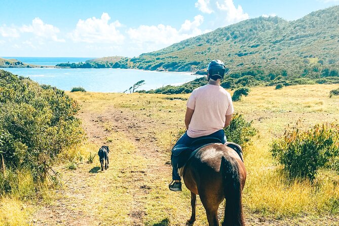 Private Beach Picnic Horseback Ride with Sandy Hoofs St. Lucia - Weather, sea conditions, and practical comfort