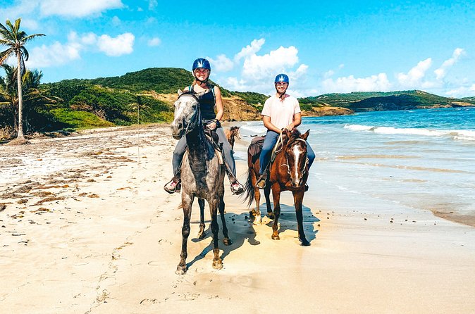 Private Beach Picnic Horseback Ride with Sandy Hoofs St. Lucia - Is $129 per person good value?