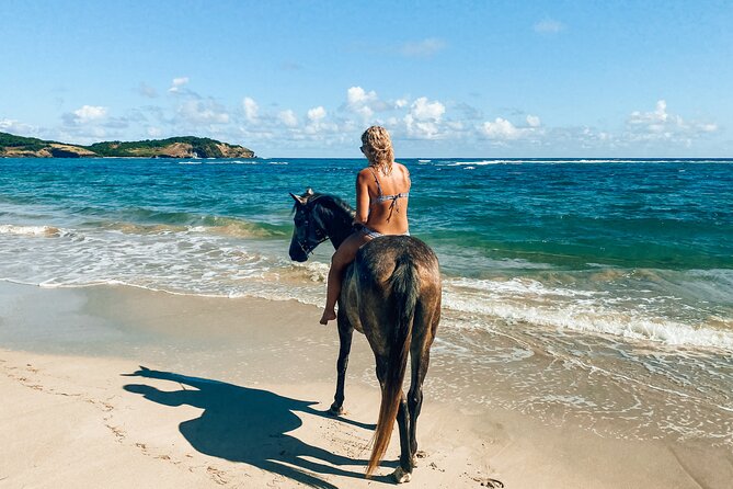 Private Beach Picnic Horseback Ride with Sandy Hoofs St. Lucia - Getting matched with your horse at Sandy Hoofs