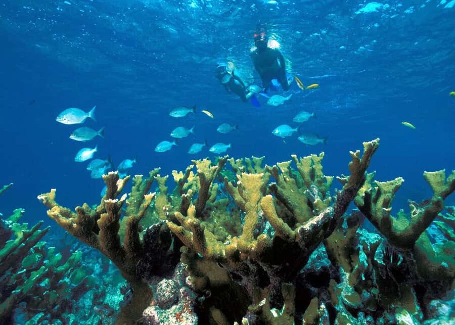 Private Boat to Soufriere, Mud Bath & Waterfall Experience - What the $360 price includes