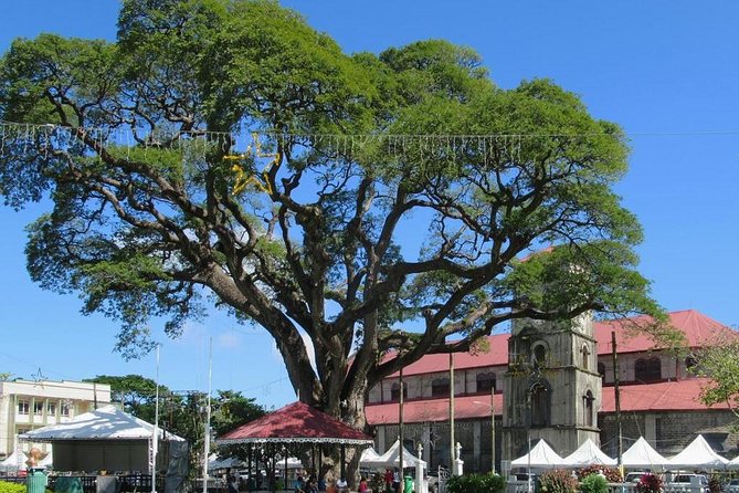 Private Castries or Shopping Tour/Transfers - A private way to use your St Lucia time