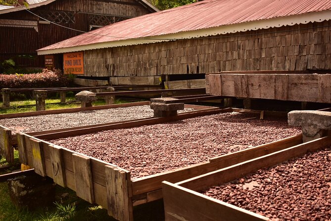 Private Chocolate Making Class - Who will enjoy this private class most?