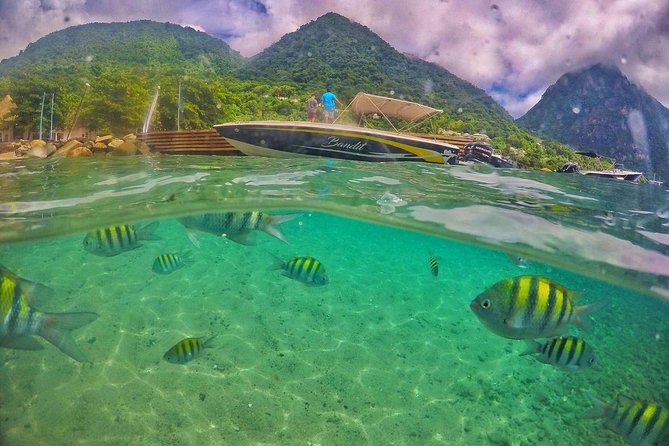 Private Custom Coastal Cruise St. Lucia Half Day - Is $860 good value for a half-day?