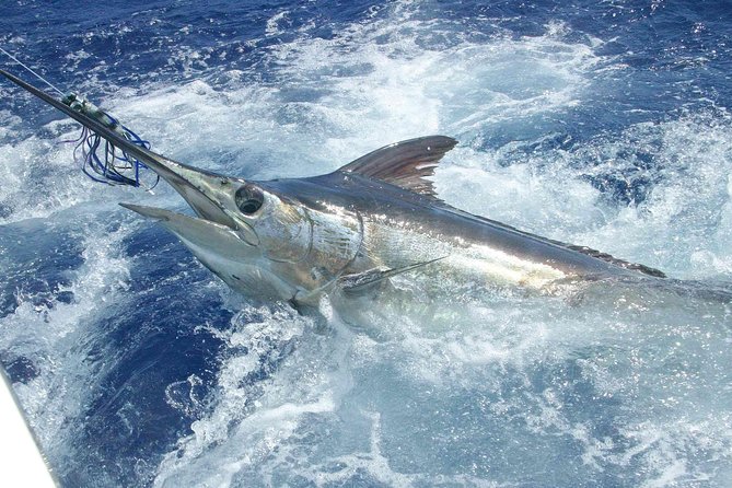 Private Fishing in St Lucia Charters - What the $860 private charter really buys you