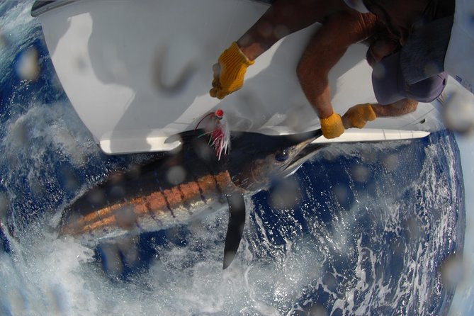 Private Fishing in St Lucia Charters - The crew makes the difference
