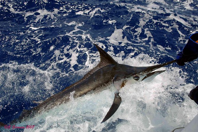 Private Fishing in St Lucia Charters - Boats, gear, and space for four