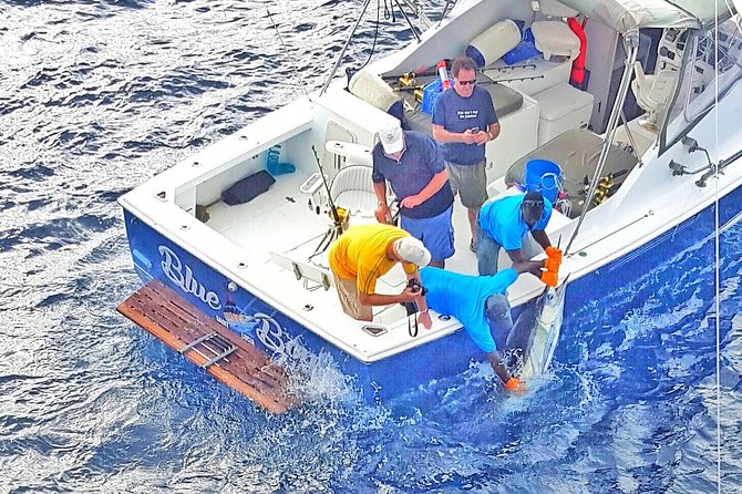 Private Fishing in St Lucia Charters - Meeting at Vigie Marina in Castries