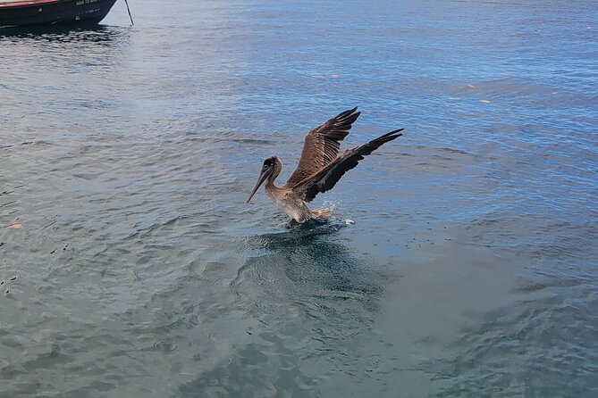 Private Full Day Snorkel Soufriere Charter - Sulphur Springs and the drive-in volcano