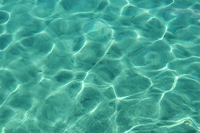 Private Full Day Snorkel Soufriere Charter - Marigot Bay and the ride home