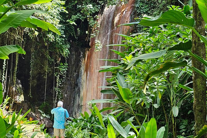 Private Island Tour St. Lucia - Marigot Bay: Caribbean Views and Hurricane Cove