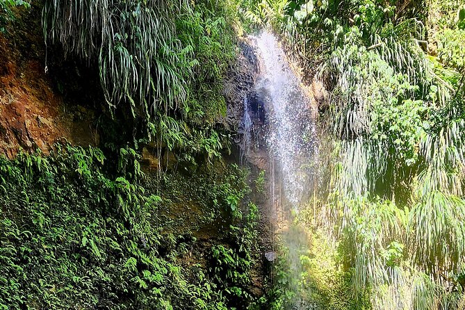 Private La Soufriere Drive-In Volcano Minibus Tour St Lucia - Who Will Enjoy This Tour Most