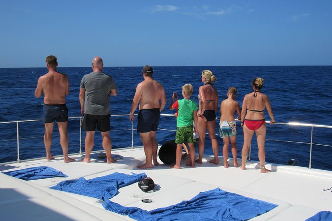 Private Luxury Catamaran Cruise in St. Lucia - Drinks, Snacks, and the Extra Cost of Lunch
