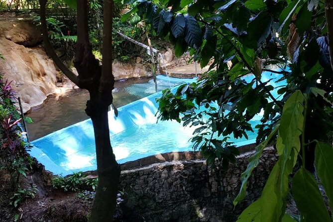Private Saint Lucia Your Way Customize Tour- LUNCH INCLUDED - The Drivers Make or Break the Day