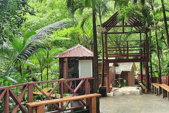 Private Tour of Sulphur Spring and Toraile Waterfall in Soufriere - Toraille Waterfall and Its Cool Natural Pool