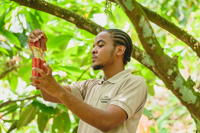 Project Chocolat Tree to Bar Tour at Hotel Chocolat Saint Lucia - Arriving at Project Chocolat in Soufriere