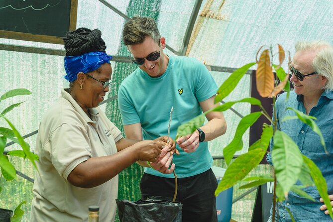 Project Chocolat Tree to Bar Tour at Hotel Chocolat Saint Lucia - Lunch with cacao on the menu