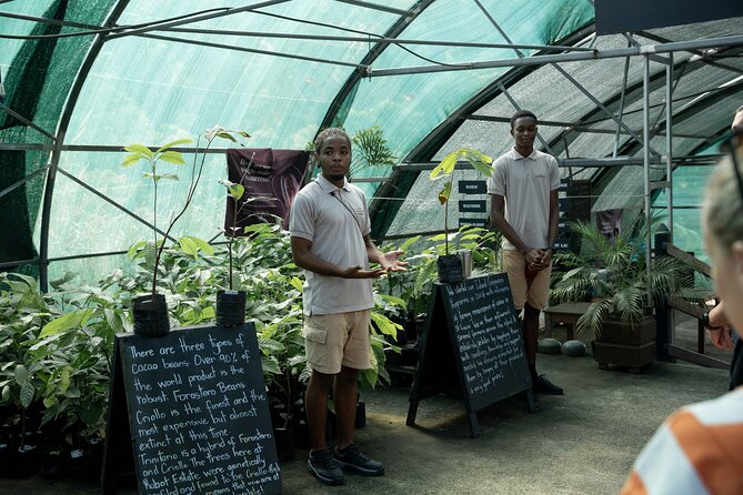 Project Chocolat Tree to Bar Tour at Hotel Chocolat Saint Lucia - Practical ways to make the day better